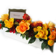 �t�����[�M�t�g�G�߂̃A�����WWinterL