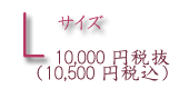 サイズL