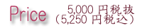 5,000�~�Ŕ��i5,250�~�ō��j