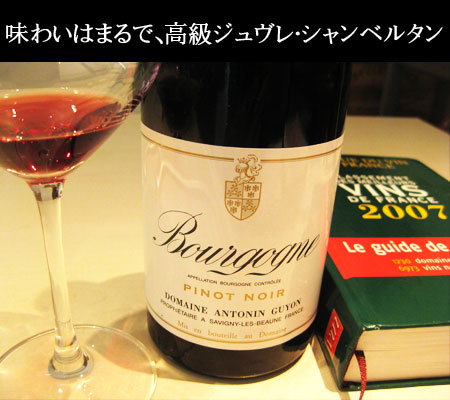 アントナン・ギュイヨン