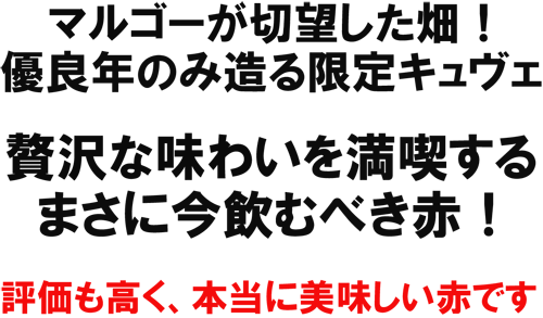 �}���S�[���ؖ]�������I�D�ǔN�̂ݑ������L�����F�B�ґ�Ȗ��킢�𖞋i����܂��ɍ����ނׂ��ԁI