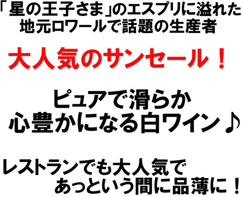 (白)エリック・ルイ サンセール・ブラン 2012 「星の王子さま」