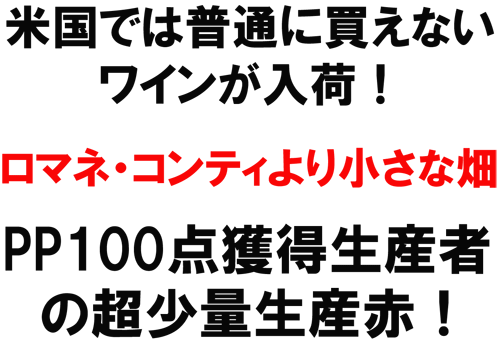 �z�[�X�p���[�E���B�����[�Y