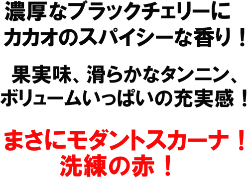�Z���ȃu���b�N�`�F���[�ɃJ�J�I�̃X�p�C�V�[�ȍ���I�ʎ����A���炩�ȃ^���j���A�{�����[�������ς��̏[�����I�܂��Ƀ��_���g�X�J�[�i�I�����̐ԁI