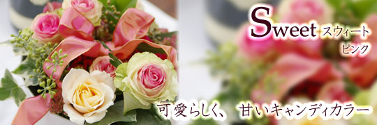 XEB[g