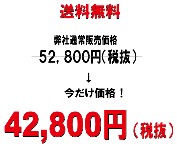 ���������T�Q�C�W�O�O�~�i�Ŕ��j��42,800�~�i�Ŕ��j