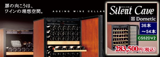 �T�C�����g�J�[�uCS52DV2